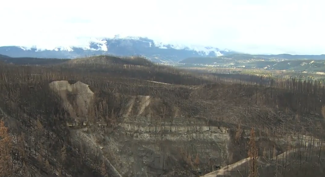 Jasper wildfire: backcountry sites welcome visitors again