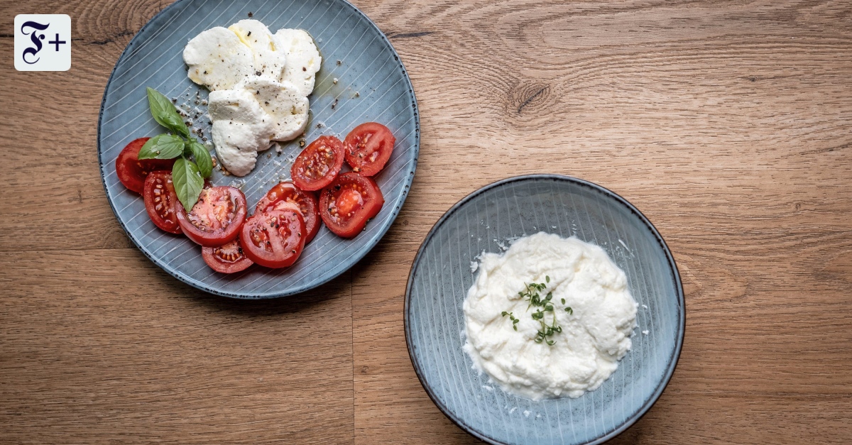 Käse selber machen: Unsere Autorin hat es probiert