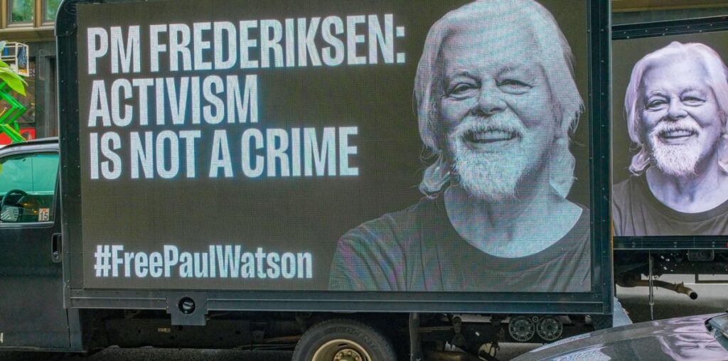 La détention du militant écologiste Paul Watson prolongée jusqu’au 13 novembre au Groenland