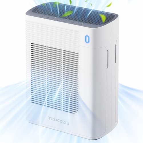 Large Room Air Purifier just $39.99 (Reg. $150!)