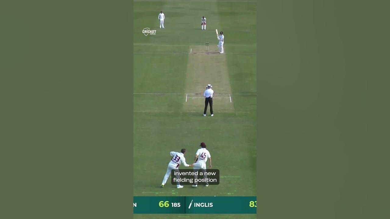 Lost balls and bail tricks! Things you missed in the Sheffield Shield