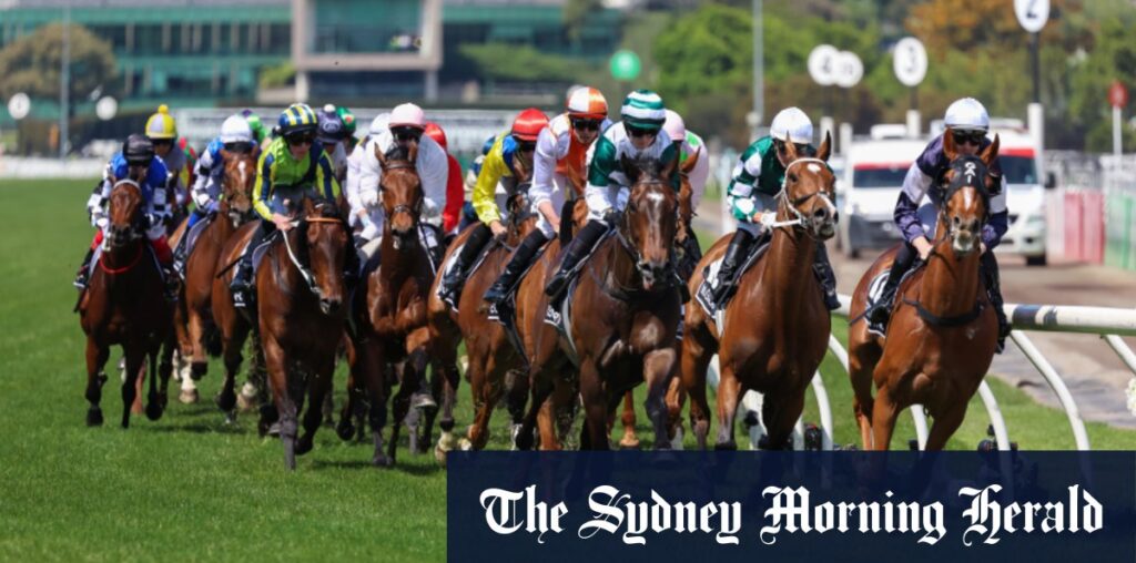 Melbourne Cup 2024: What you need to know about all 34 potential Cup runners; Via Sistina; Vauban; Circle of Fire