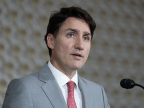 Michael Higgins: Liberal rebels will need steel spines to oust Trudeau