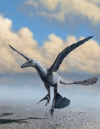 Microraptorine Dinosaur Footprints Shed New Light on Origin of Flight