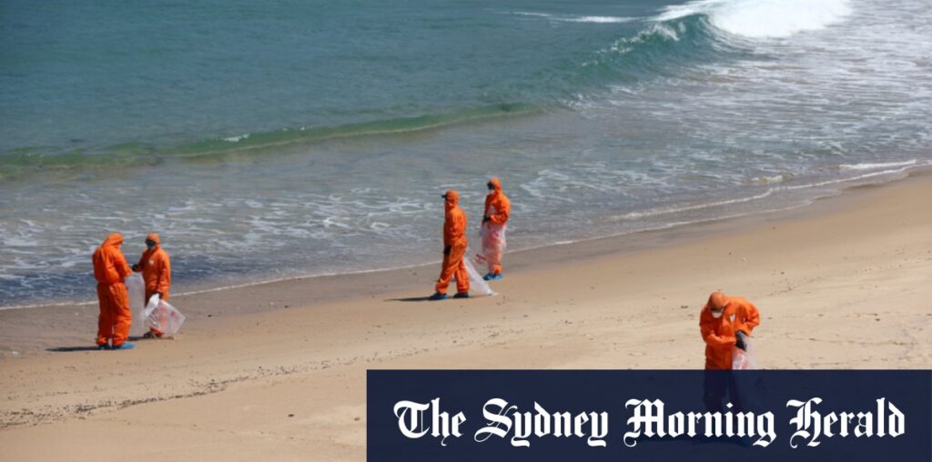 Mission to track source of tar balls littering 11 Sydney beaches from Bondi to Botany Bay