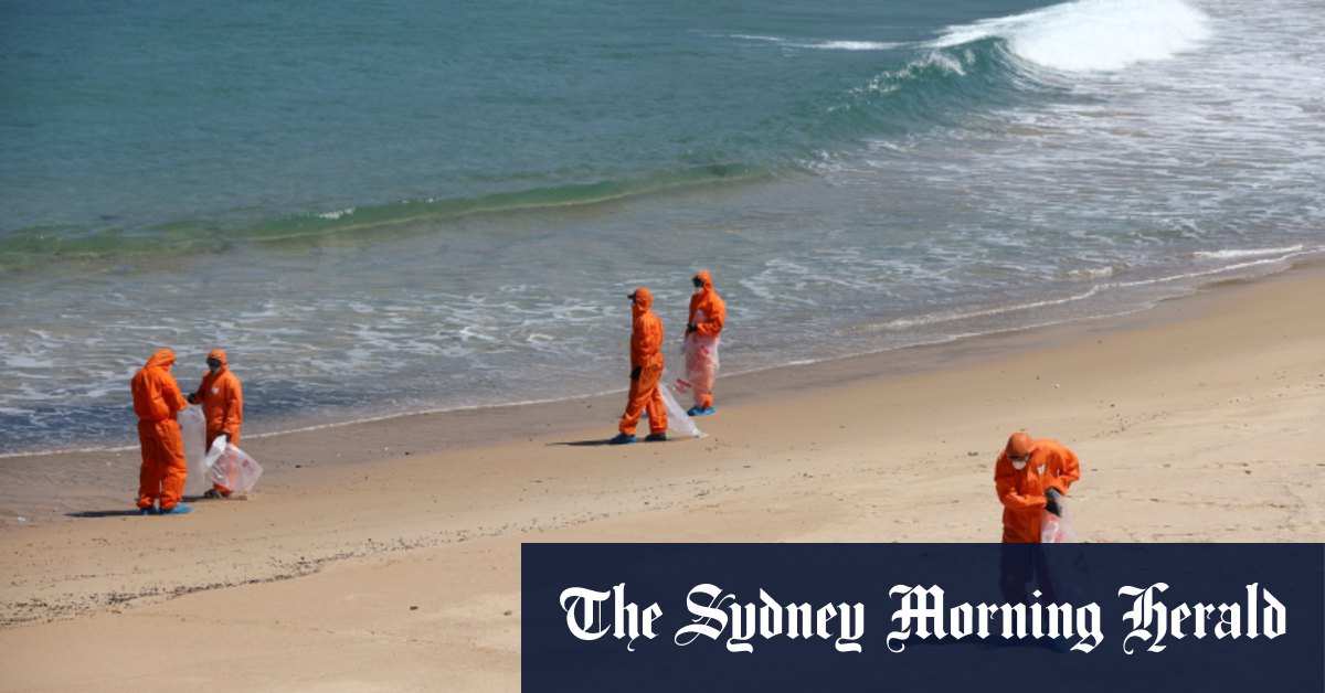 Mission to track source of tar balls littering 11 Sydney beaches from Bondi to Botany Bay