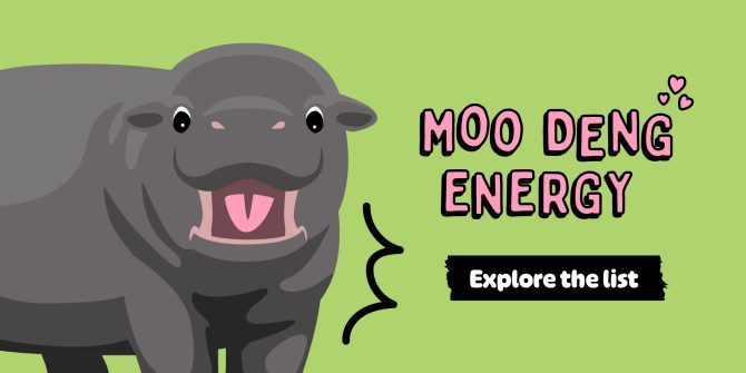 Moo Deng Energy: A Reading List