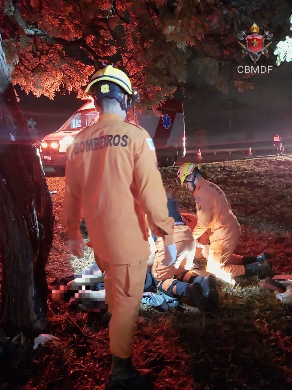 Moto bate contra árvore e condutor morre em São Sebastião – Jornal de Brasília