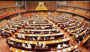 NA session delayed until 6 PM, constitutional amendment bill absent from agenda