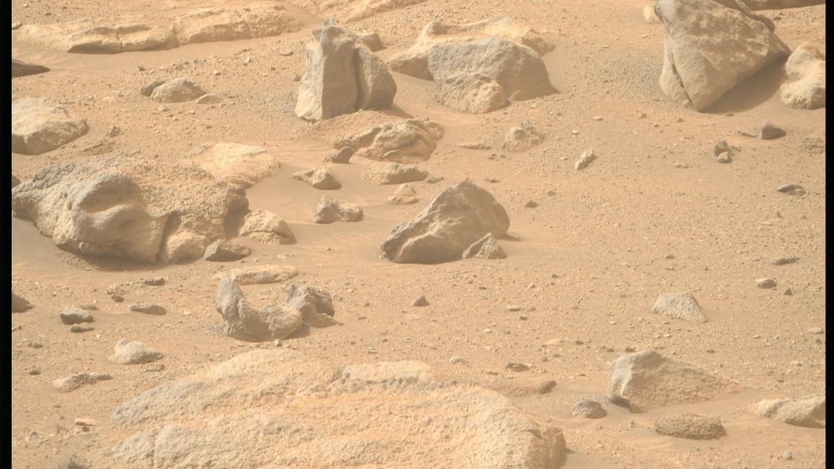 NASA’s Perseverance finds a rock on Mars that eerily resembles a human head!