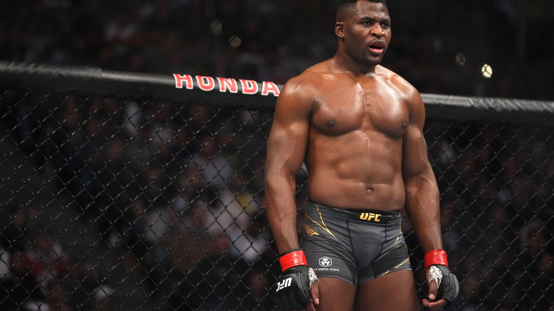 Ngannou’s opponents will get payday worth millions after Fury and Joshua fights