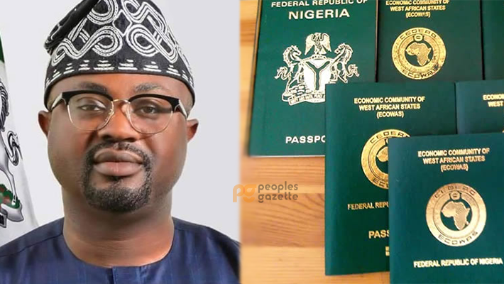 Nigerians in Canada, UK, USA, others to enjoy digital passport renewal from November 1 — NIS