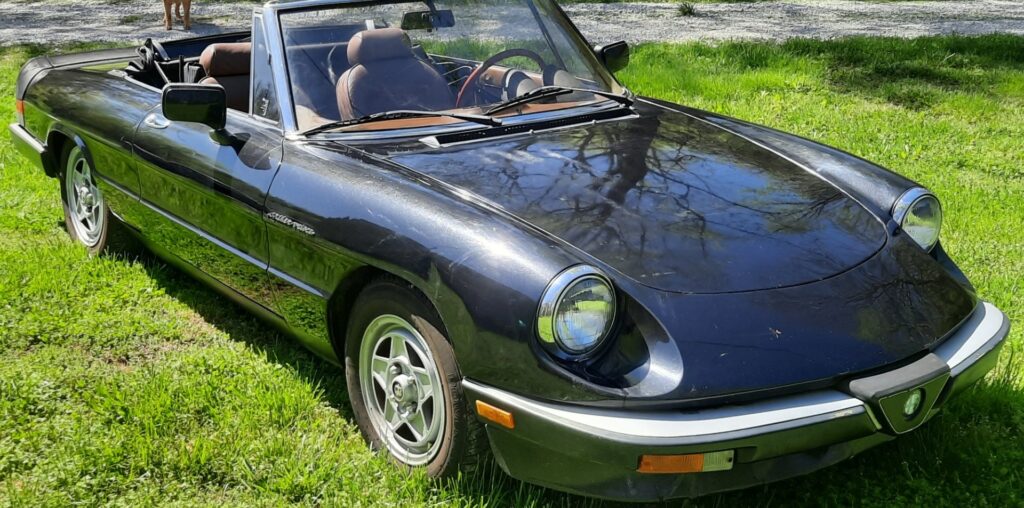 No Reserve: 1983 Alfa Romeo Spider Veloce