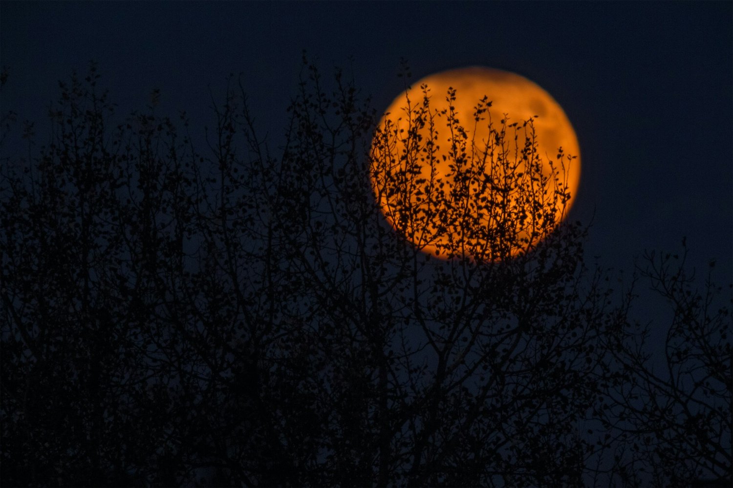 Not Just Tricks And Treats: Uncovering The Spooky Tales In Jewish Traditions