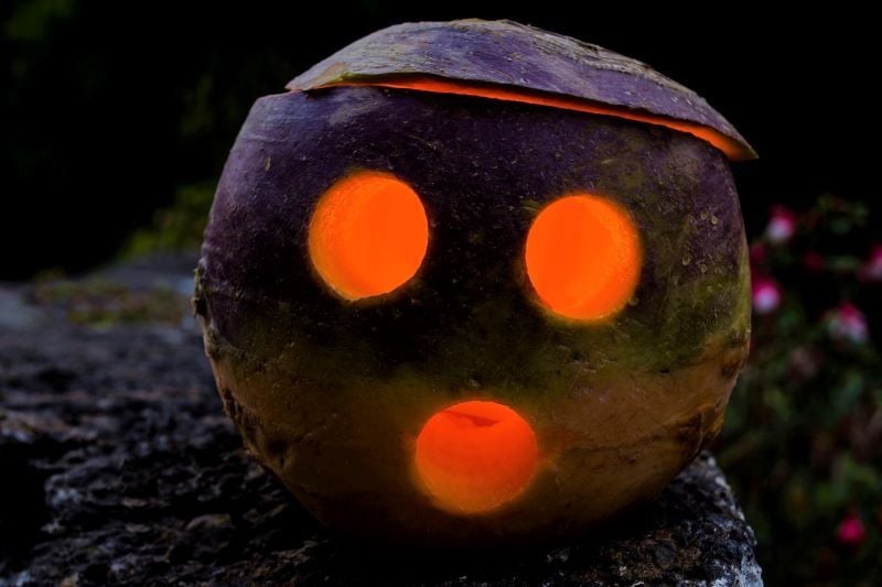 Original Irish Jack-o-Lanterns made of turnips were truly terrifying