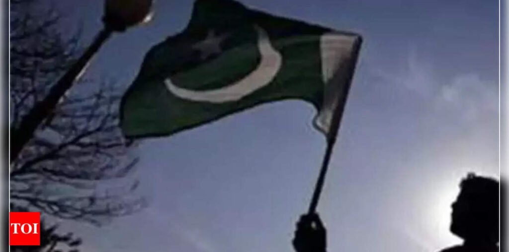 Pakistan to repay over $30 billion debt in FY25, says central bank - Times of India