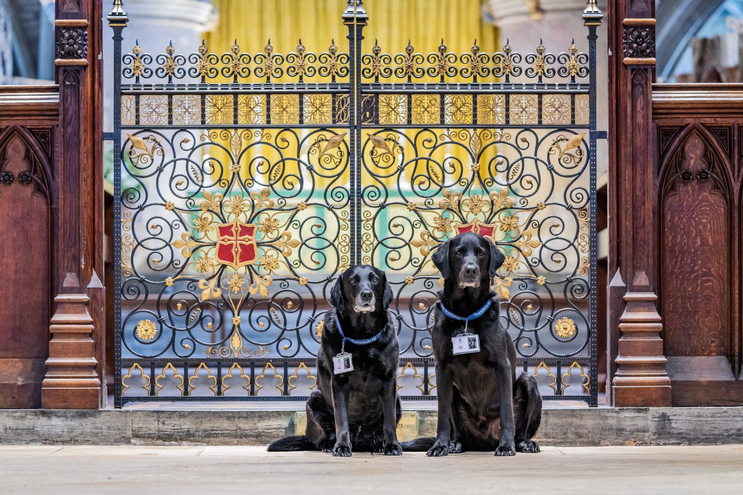 Paws In The Pews: Why Some Churches Have Gone Out Of Their Way To Welcome Dogs