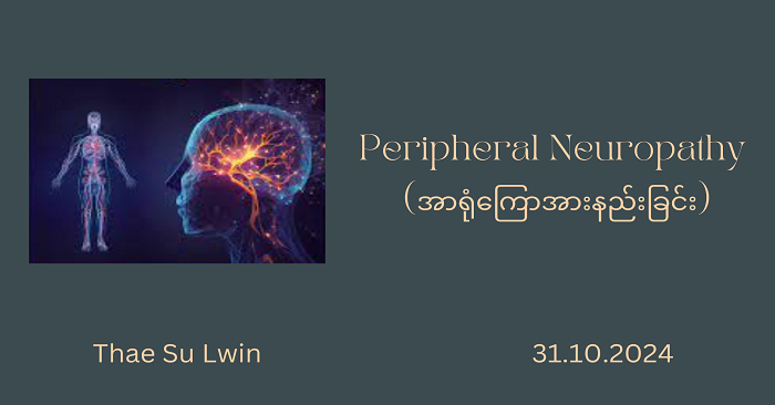 Peripheral Neuropathy (အာရုံကြောအားနည်းခြင်း) – Spiceworks Myanmar