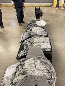 Philadelphia CBP Intercepts 114-Pound Marijuana Load Destined to London, Two Women Arrested