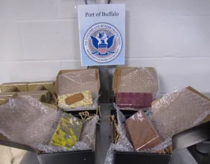 Port of Buffalo CBP Officers Discover Shipments of Psilocybin Chocolate