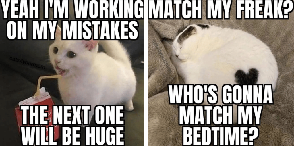 Pre-Work Week Whimsy: 23 Hilarious Cat Memes to Get You Primed and Ready to Jump into Your Job Like a Cat