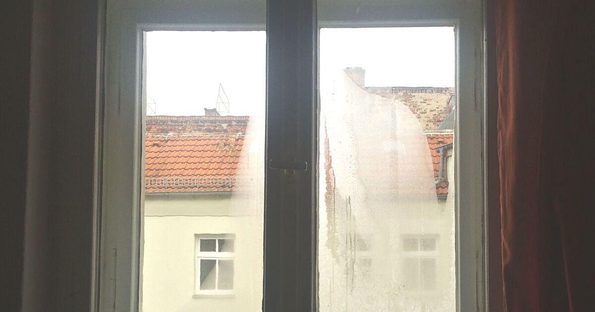 Put a bowl of common ingredient near your window to banish condensation