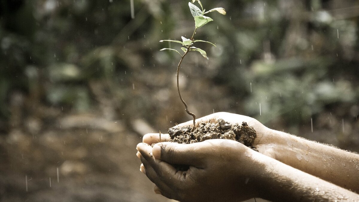 Rainwater played a vital role in stabilising early cells, crucial for life