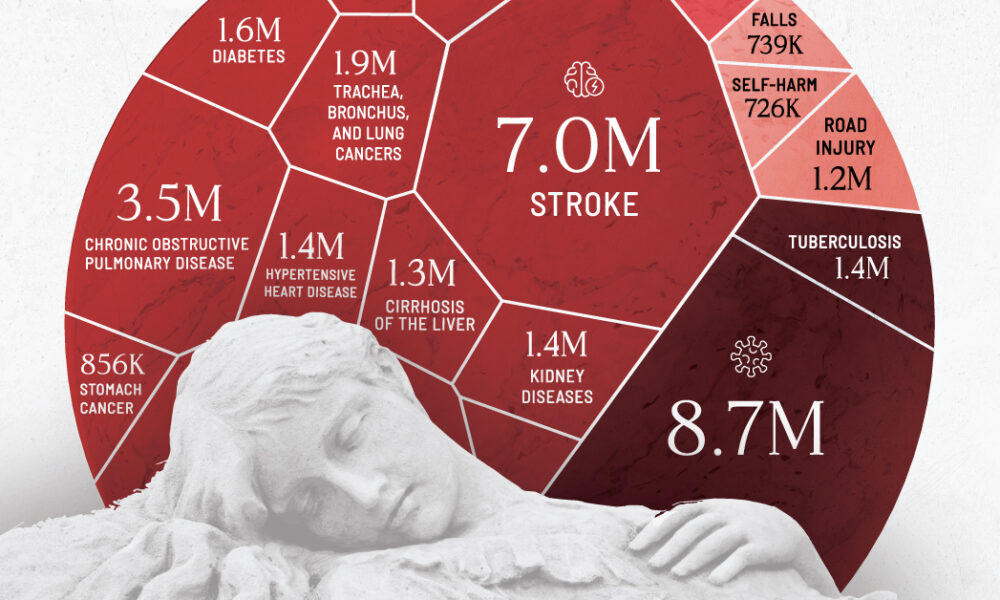 Ranked: The Top 20 Causes of Death in 2021