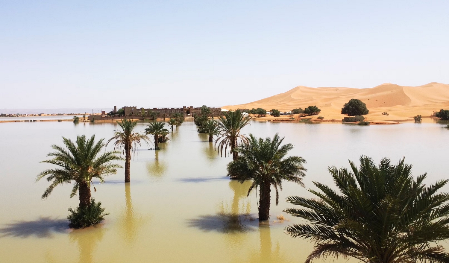 Rare floods after extraordinary rains in Sahara turn deserts in Morocco green