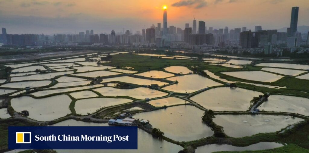 Report lays out vision for wetland parks in Hong Kong’s Northern Metropolis