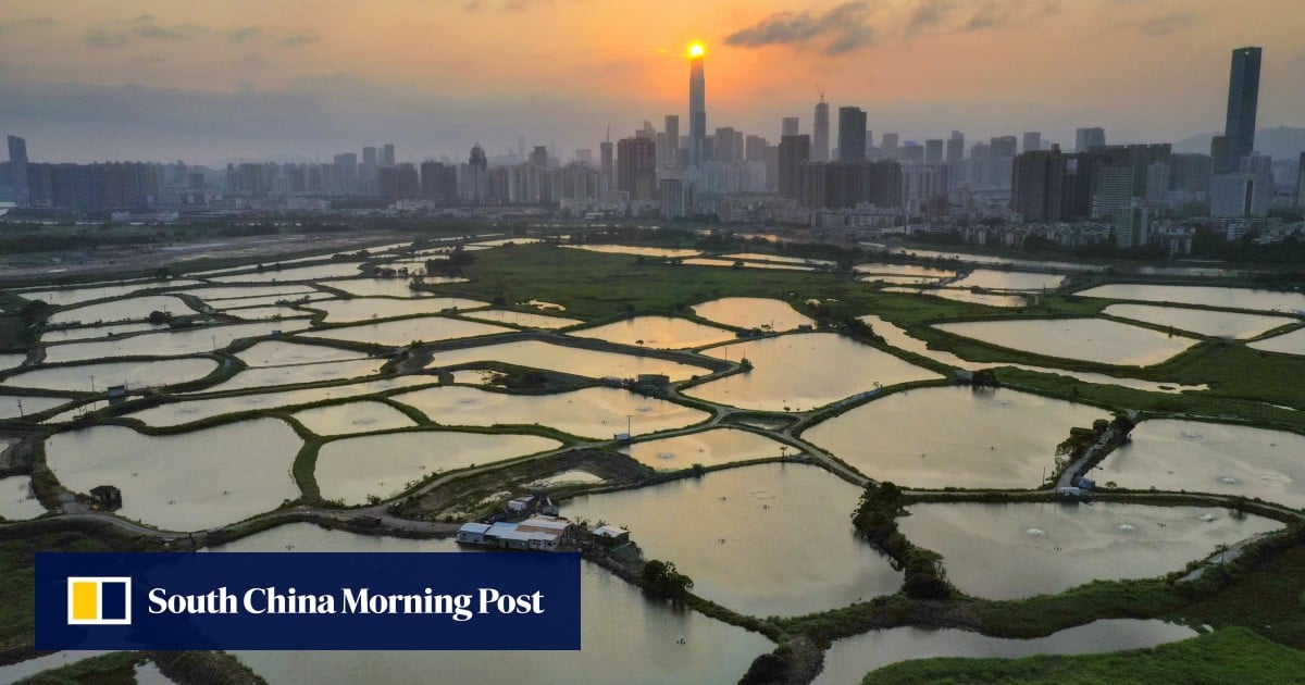 Report lays out vision for wetland parks in Hong Kong’s Northern Metropolis