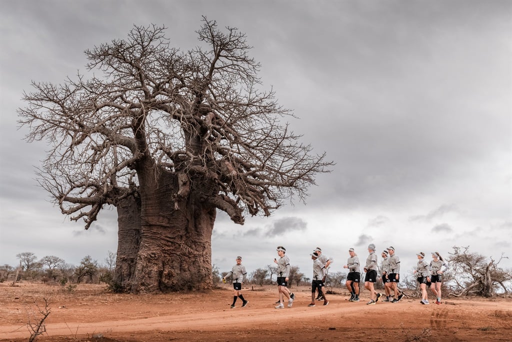 Running with leopards: Completing the Timbavati Traverse half marathon through Big 5 country | Life