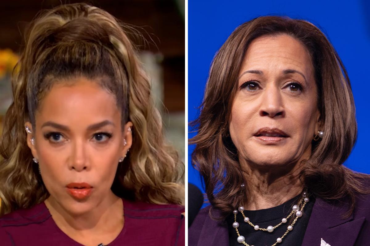 Sunny Hostin Tells ‘The View’ Kamala Harris “Has To Be Perfect” And Is “Being Held To A Different Standard” Than Trump