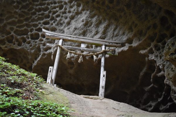 Tarumizu Sanctuary