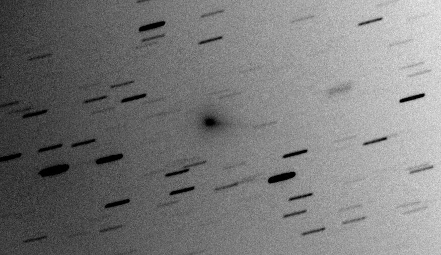 Comet C/2024 S1 black-on-white image.