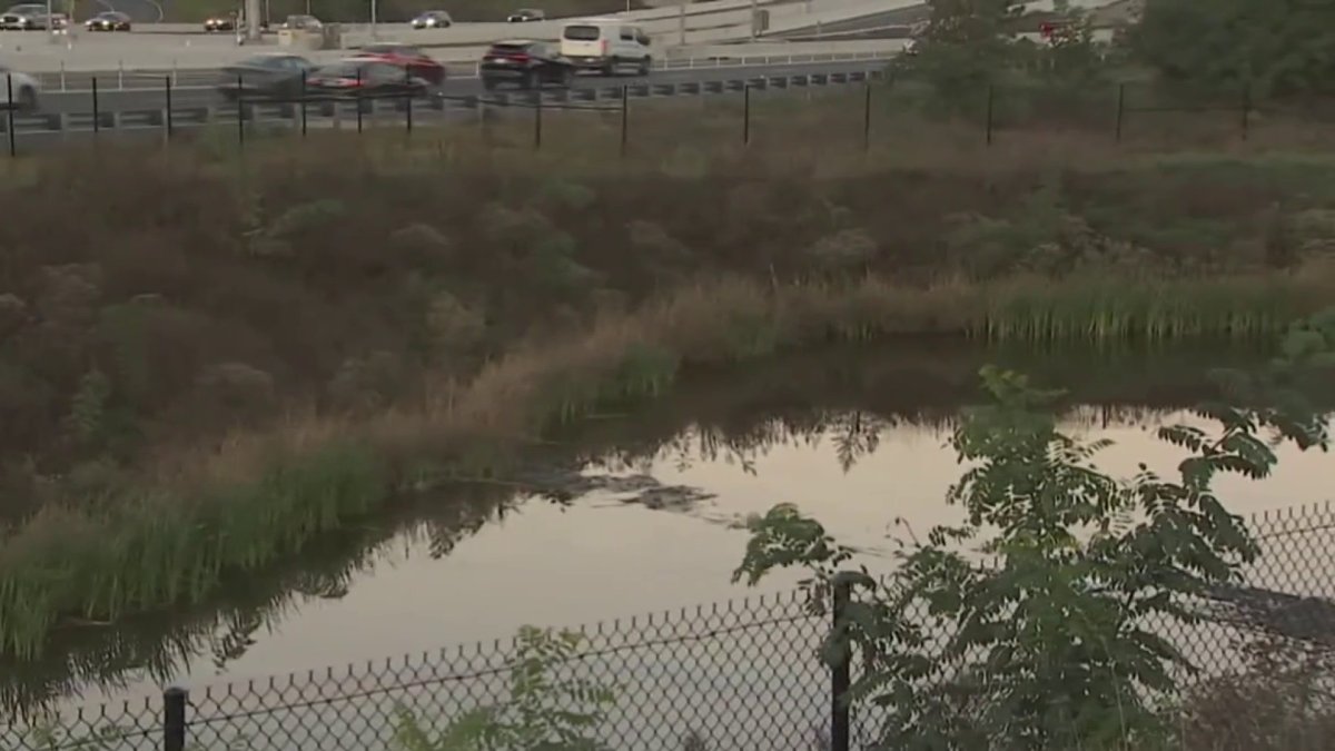 Troopers rescue woman who drove into pond off I-66