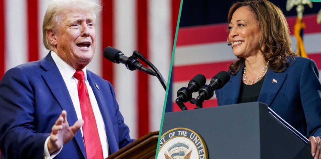 US election 2024: Votes cast as Trump, Harris hit battleground states