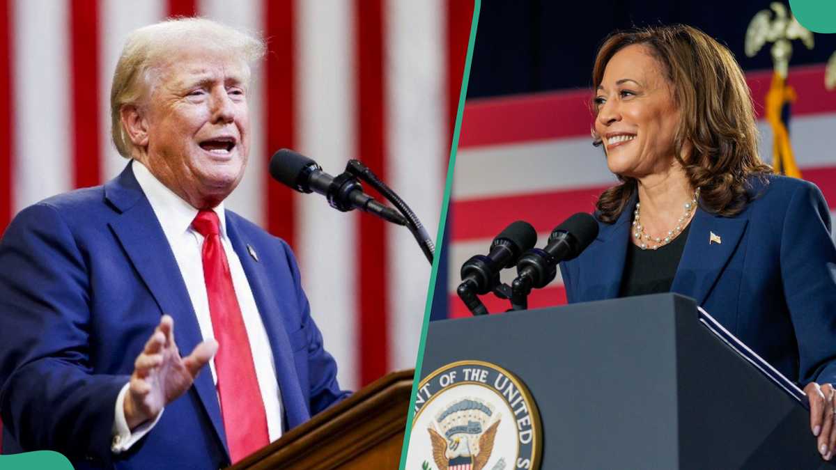 US election 2024: Votes cast as Trump, Harris hit battleground states