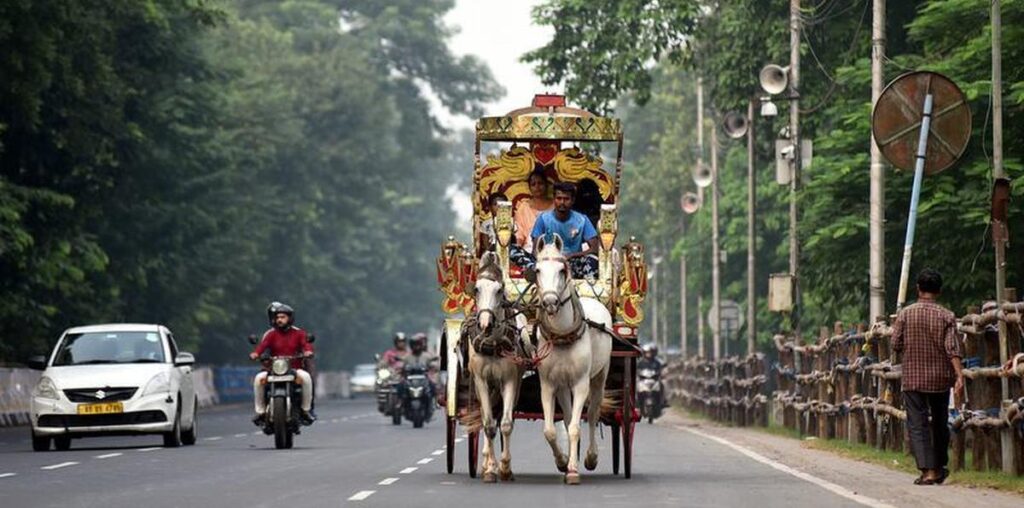 Uncertainty looms over Kolkata’s horse-drawn carriages