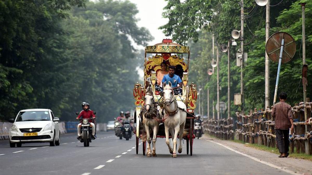 Uncertainty looms over Kolkata’s horse-drawn carriages