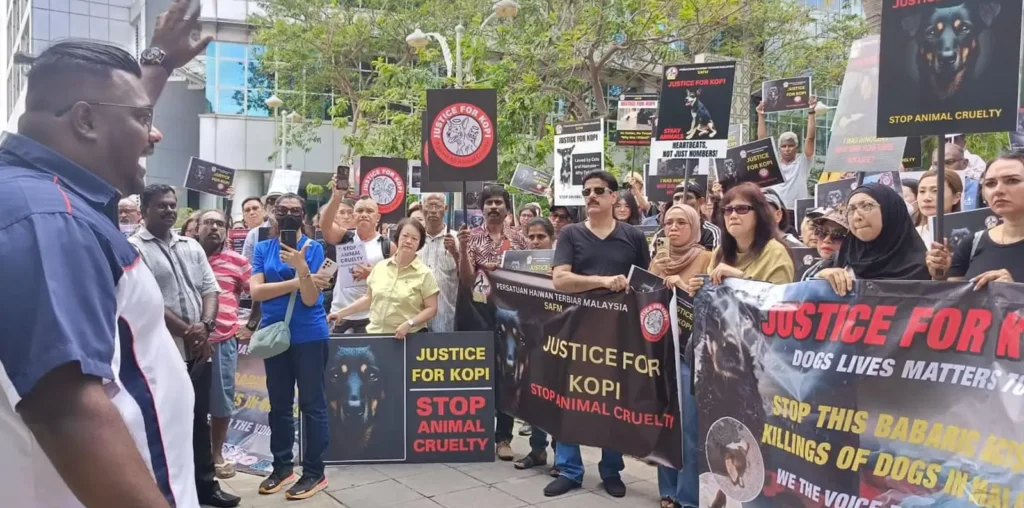 Veterinary dept to review memo on Kopi’s death