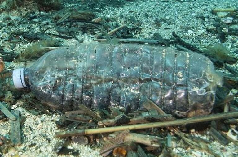 Vídeo: Plásticos da África chegam ao Brasil trazidos por correntes oceânicas