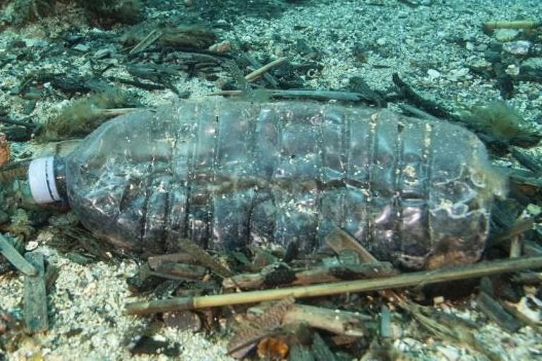 Vídeo: Plásticos da África chegam ao Brasil trazidos por correntes oceânicas