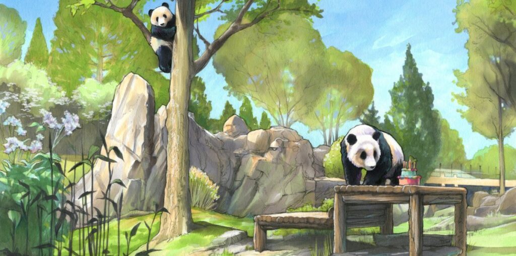 What's new at the National Zoo's upgraded giant panda habitat?