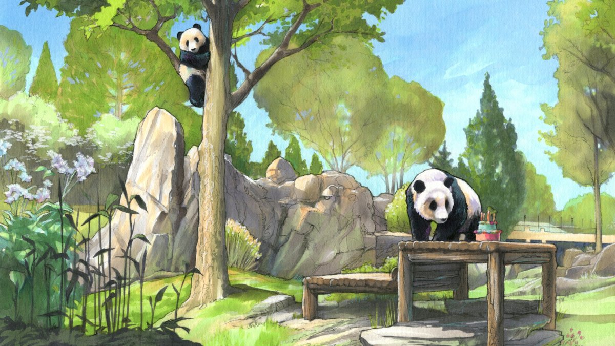 What’s new at the National Zoo’s upgraded giant panda habitat?