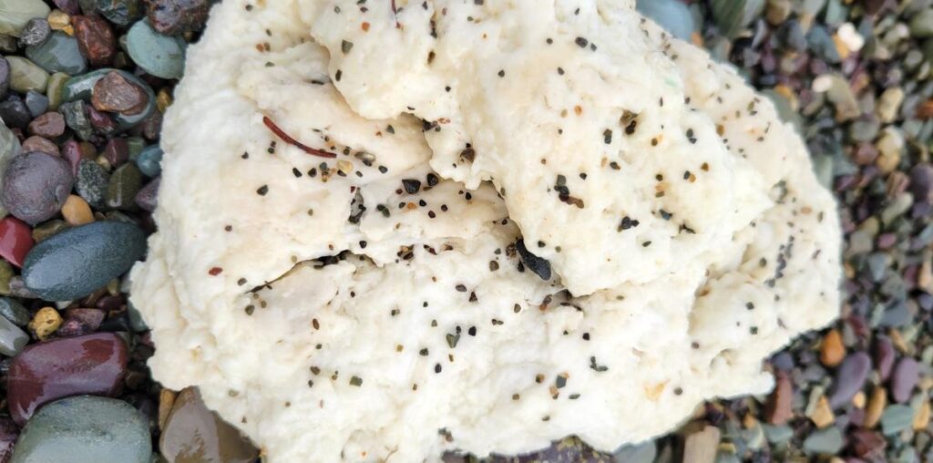 White blobs washing up on Newfoundland beaches stump experts and worry resident beachcombers