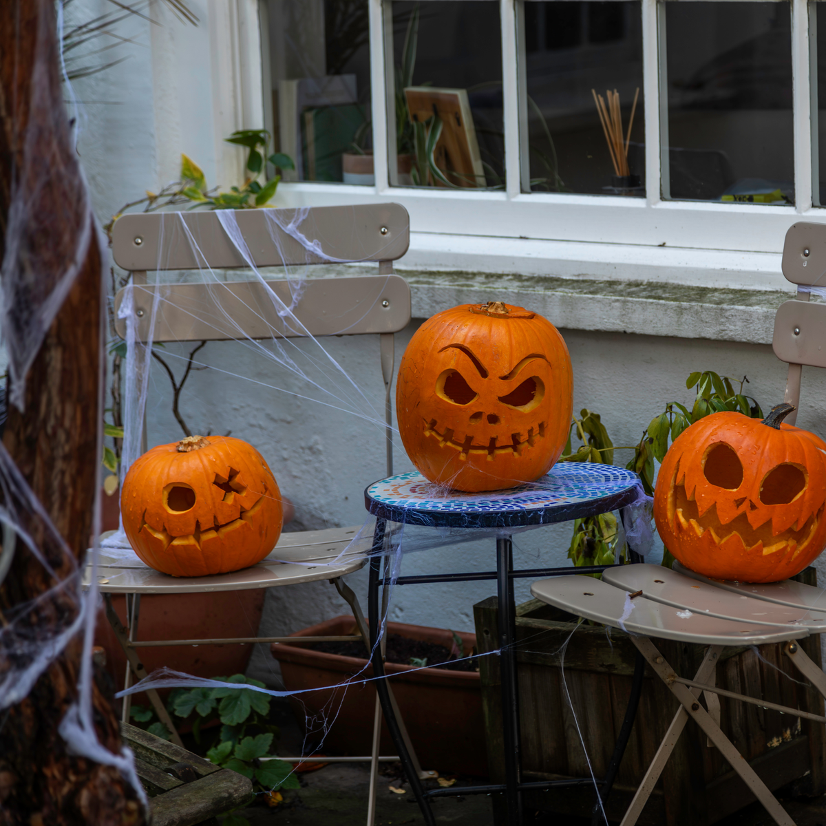 Wildlife experts are urging people to think twice before putting up this outdoor Halloween decoration