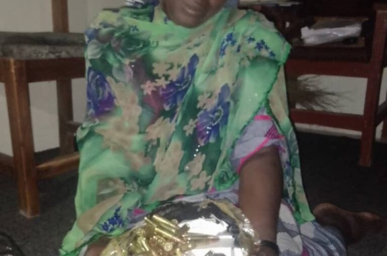 Woman Nabbed With 350 Rounds Of Ammunition In Yobe