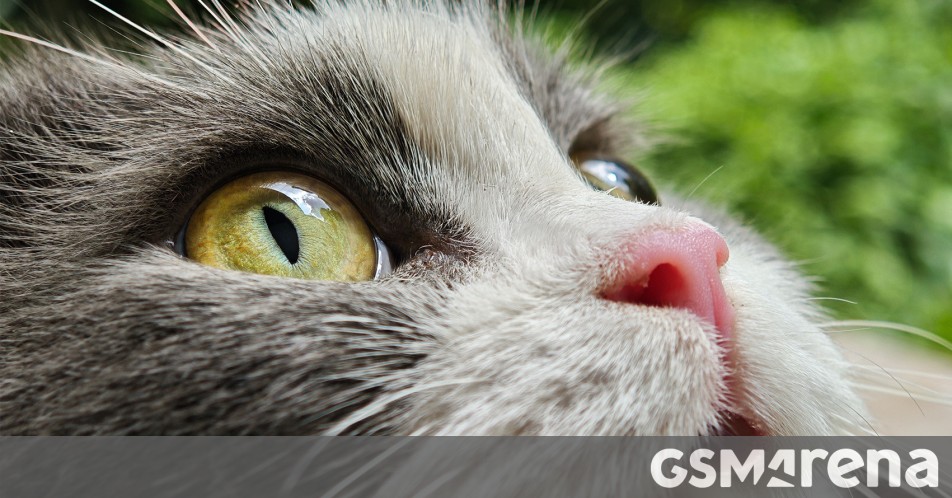 Xiaomi 15 and 15 Pro sample photos appear