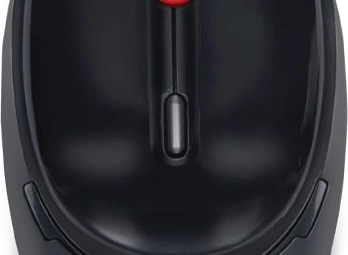 iBall Cute Wireless Mouse